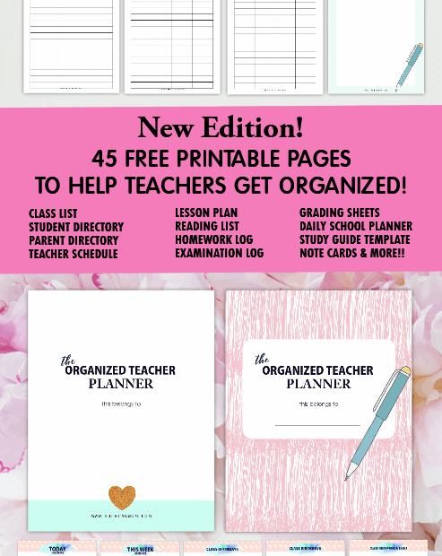 2023 2024 Teacher Planner Free Printable Printables And 42 OFF