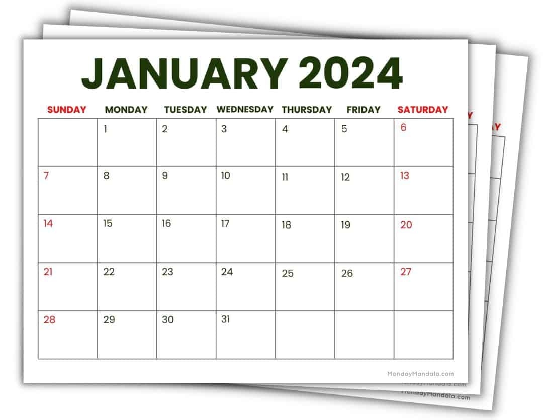 2025 Year Planner Printable Pdf Free Download Rachel J Burbury